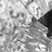 image-20211014200043878