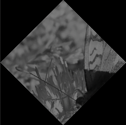 image-20211014200142902